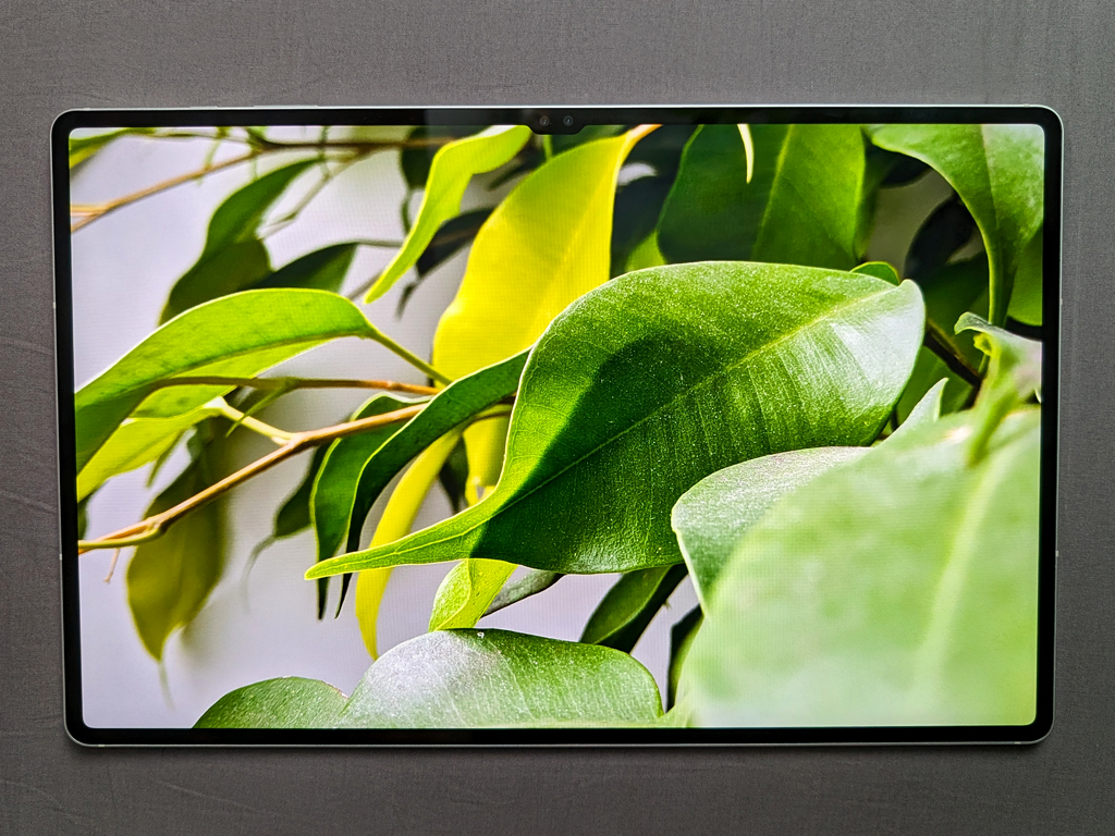 Das Super-AMOLED-2X-Display ist kontrastreich.